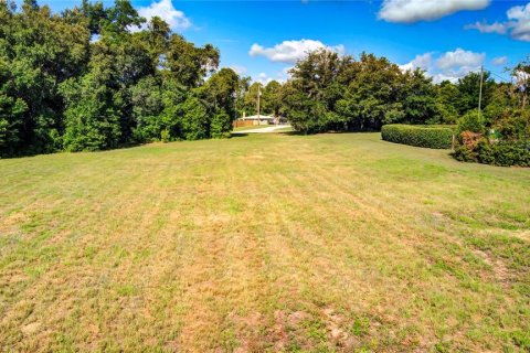 Terreno en venta en Inverness, Florida № 1255023 - foto 6