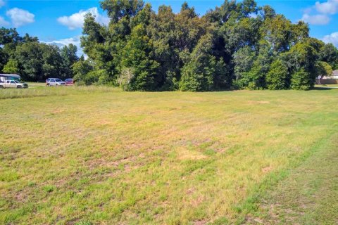 Terreno en venta en Inverness, Florida № 1255023 - foto 7