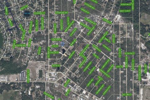 Land in Lake Placid, Florida № 2214414 - photo 3