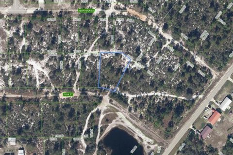 Land in Lake Placid, Florida № 2214414