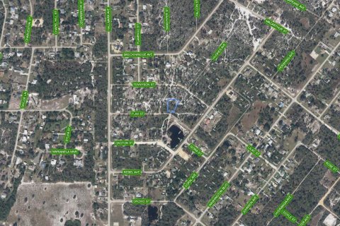 Land in Lake Placid, Florida № 2214414 - photo 2