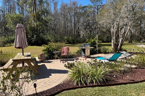 Condo in Lutz, Florida, 1 bedroom  № 2207593 - photo 5