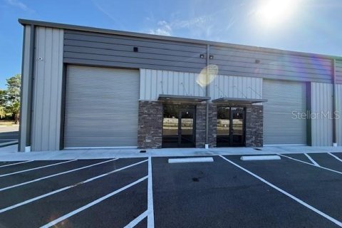 Immobilier commercial à Plant City, Floride 1413.04 m2 № 2366993