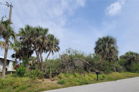 Land in Port Charlotte, Florida № 1723953 - photo 2