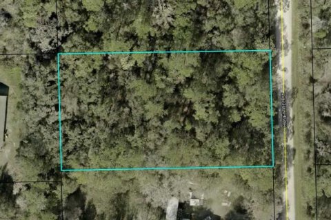 Terreno en venta en Bunnell, Florida № 2162612 - foto 2