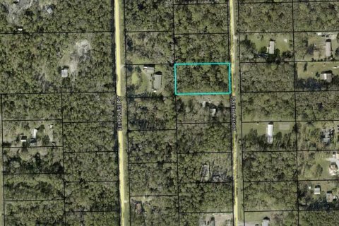 Land in Bunnell, Florida № 2162612