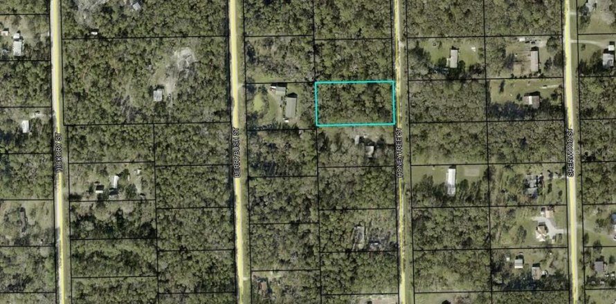 Terreno en Bunnell, Florida № 2162612