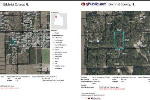 Land in Bell, Florida № 2160501 - photo 3