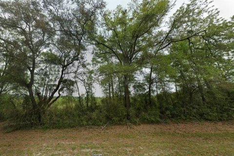 Land in Bell, Florida № 2160501 - photo 8