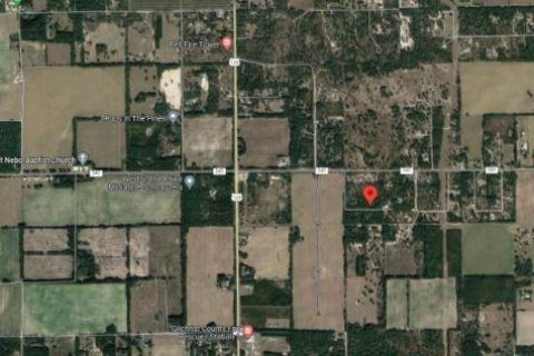 Land in Bell, Florida № 2160501 - photo 6
