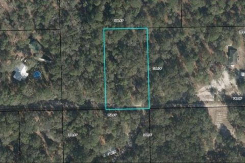 Land in Bell, Florida № 2160501 - photo 2