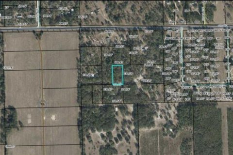 Land in Bell, Florida № 2160501 - photo 4