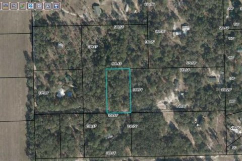 Land in Bell, Florida № 2160501