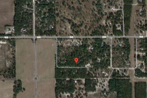 Land in Bell, Florida № 2160501 - photo 7