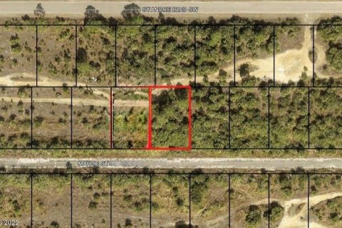 Land in Palm Bay, Florida № 2160397 - photo 3