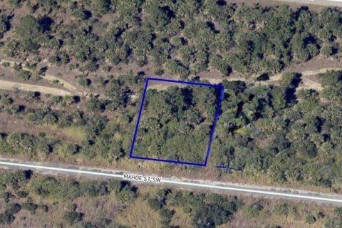 Land in Palm Bay, Florida № 2160397
