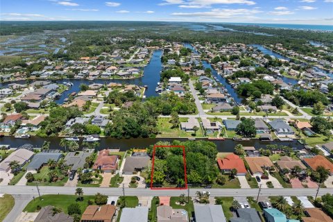 Land in Palm Coast, Florida № 2122972 - photo 4