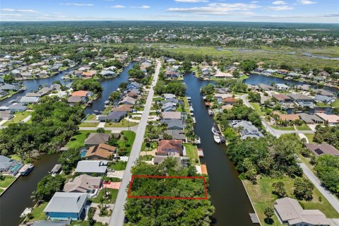 Land in Palm Coast, Florida № 2122972 - photo 6