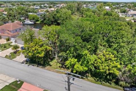 Land in Palm Coast, Florida № 2122972 - photo 17