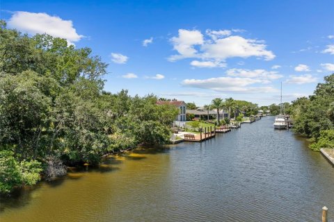 Land in Palm Coast, Florida № 2122972 - photo 5