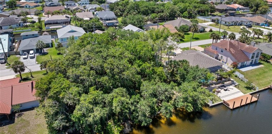 Land in Palm Coast, Florida № 2122972