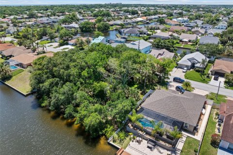 Land in Palm Coast, Florida № 2122972 - photo 3