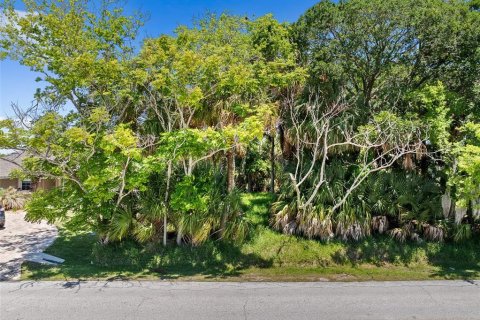 Land in Palm Coast, Florida № 2122972 - photo 16
