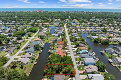 Land in Palm Coast, Florida № 2122972 - photo 11