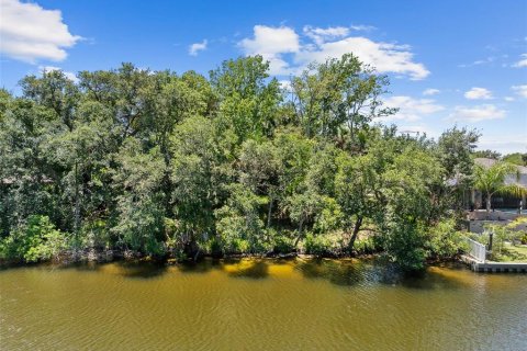 Land in Palm Coast, Florida № 2122972 - photo 2