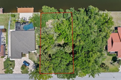 Land in Palm Coast, Florida № 2122972 - photo 7
