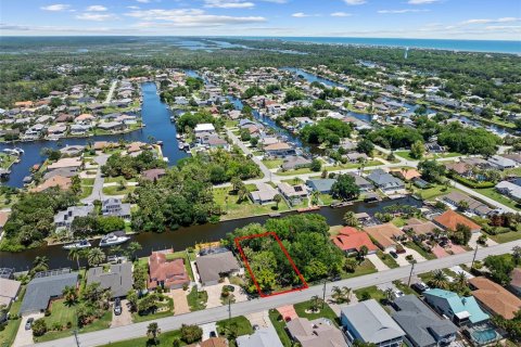 Land in Palm Coast, Florida № 2122972 - photo 15