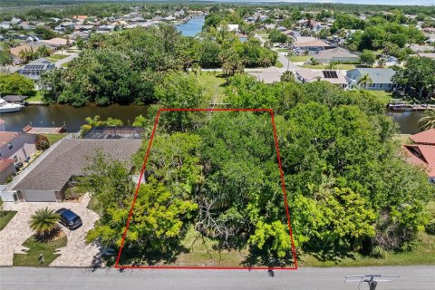 Land in Palm Coast, Florida № 2122972 - photo 14