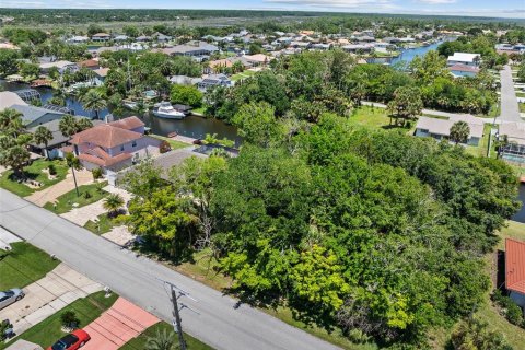 Land in Palm Coast, Florida № 2122972 - photo 13