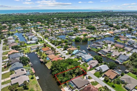 Land in Palm Coast, Florida № 2122972 - photo 9