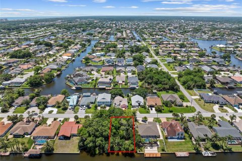 Land in Palm Coast, Florida № 2122972 - photo 10