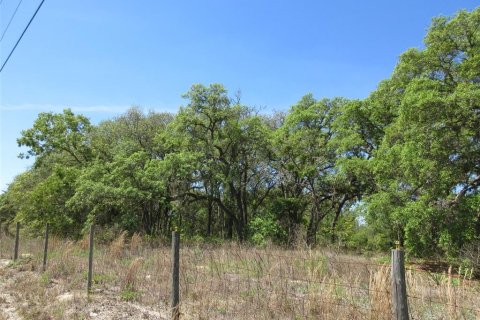 Land in Dunnellon, Florida № 2231681
