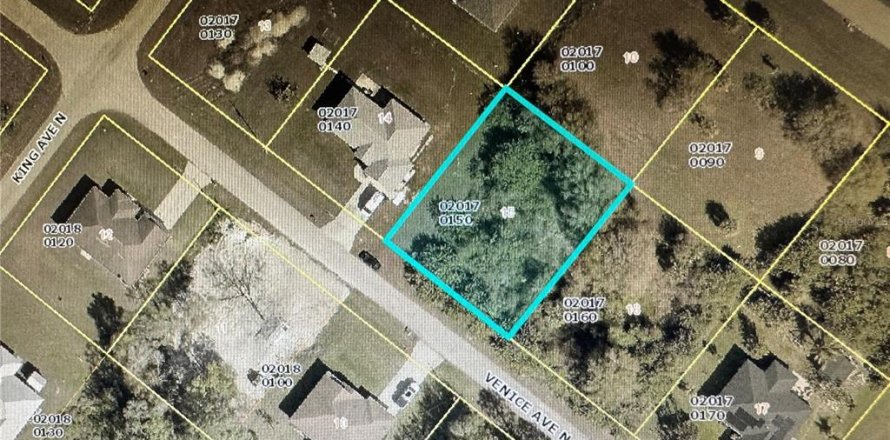 Land in Lehigh Acres, Florida № 2159225