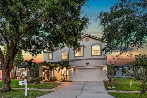 House in Tampa, Florida 5 bedrooms, 279.73 sq.m. № 1757093 - photo 1