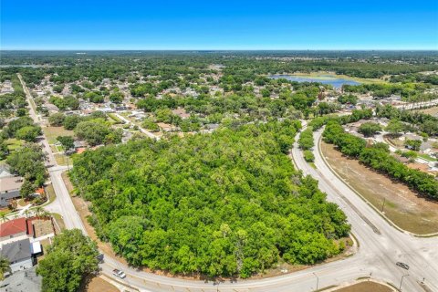 Terreno en venta en Ocoee, Florida № 2139784 - foto 17