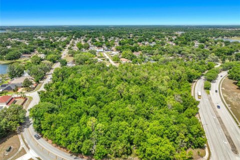 Terreno en venta en Ocoee, Florida № 2139784 - foto 6