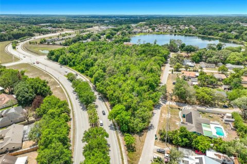 Terreno en venta en Ocoee, Florida № 2139784 - foto 8