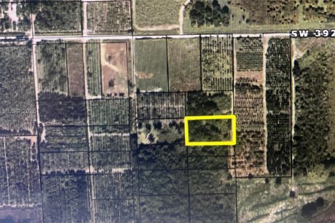 Коммерческая недвижимость в Майами-Дейд, Флорида № 2063405