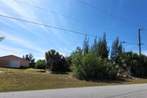 Land in Port Charlotte, Florida № 2103173 - photo 3