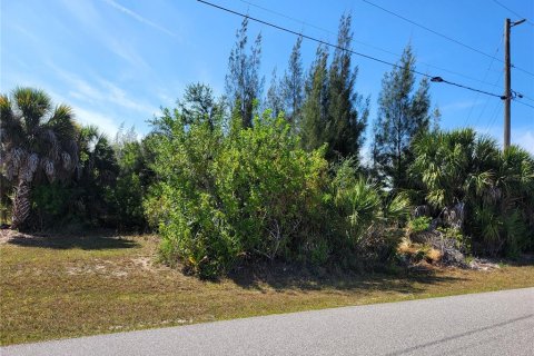 Land in Port Charlotte, Florida № 2103173 - photo 2