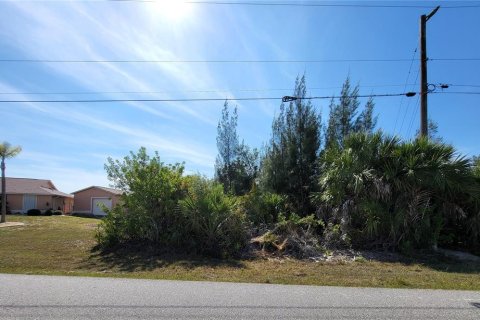 Land in Port Charlotte, Florida № 2103173 - photo 6