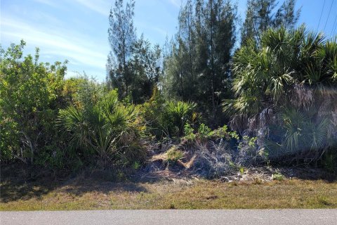 Land in Port Charlotte, Florida № 2103173 - photo 5