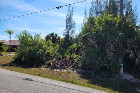 Land in Port Charlotte, Florida № 2103173 - photo 8