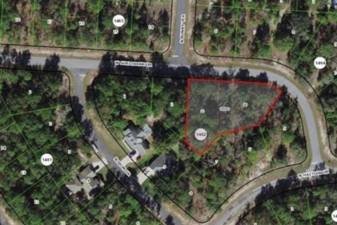 Land in Citrus Springs, Florida № 2108085 - photo 2