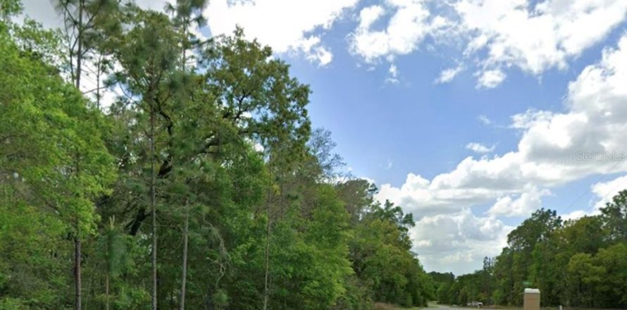 Land in Citrus Springs, Florida № 2108085