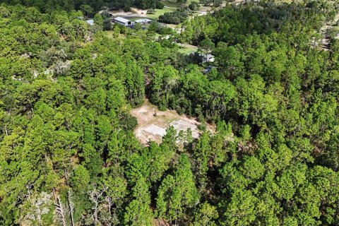 Terreno en venta en Williston, Florida № 2323123 - foto 6